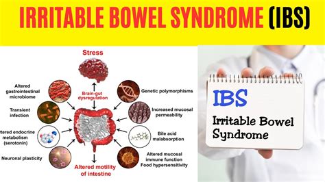 Uncovering The Mystery Of Irritable Bowel Syndrome Ibs What You Need To Know Now Youtube