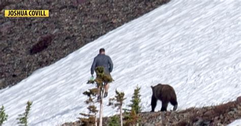 Images Show Hiker Unknowingly Being Trailed By A Grizzly Bear In