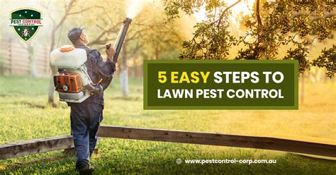5 Ways To Lawn Pest Control That Will Keep Bugs Away