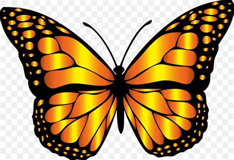 Monarch Butterfly Insect Clip Art Png 960x660px