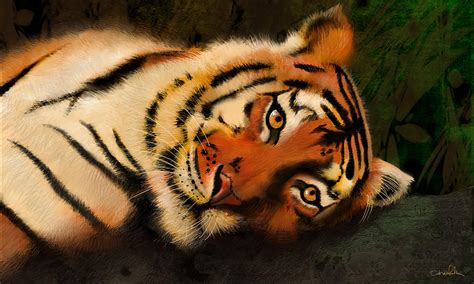 Sleepy Tiger Digital Art By Debra Whelan Pixels