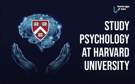 Psychology At Harvard University Courses Requirements And Fees