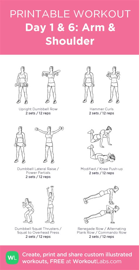 Day 1 And 6 Arm And Shoulder Arm Workout Gym Dumbell Workout Gym Workout Plan For Women