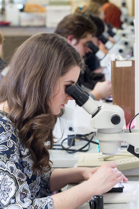 The value of undergraduate student research | Appalachian Today