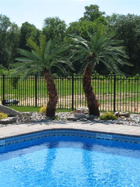 Swimming Pool Design Palm Tree Décor Artificial Trees Tropical