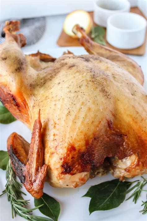 Roast Turkey In An Electric Roaster Roaster Recipes Thanksgiving