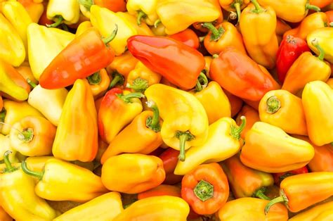 Gypsy pepper plants produce sweet peppers. Pin on gypsy peppers