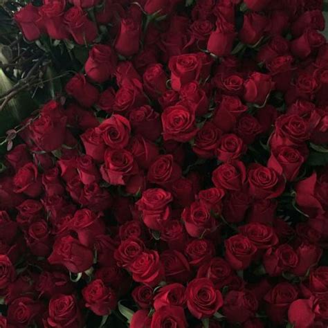 would you do anything for me? buy a big diamond ring for ... All of these flower background images and vectors have high resolution and can be used as banners, posters or wallpapers.