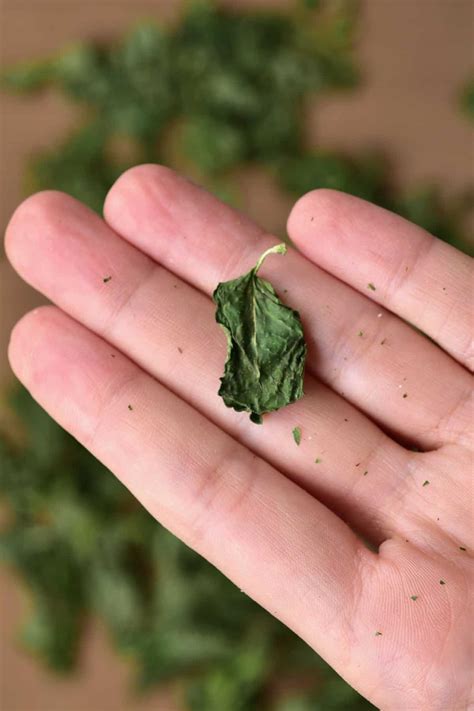 How To Dry Mint 3 Methods For Dried Mint Alphafoodie