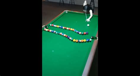 Asian Girl Shows Off Her Amazing Pool Trick Shots