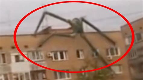 Scariest Real Unknown Creatures Caught On Camera And Spotted In Real Life