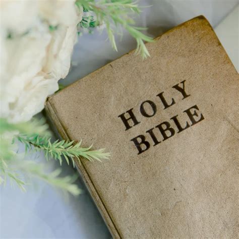 What Is The Best Order To Read The Bible For The First Time
