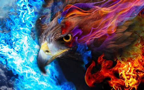 Wallpaper Sky Blue Fire Eagle Color Bird Psychedelic Art