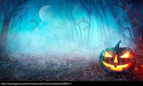 Halloween Spooky Forest - Stock Photo - #22886111 - PantherMedia Stock ...
