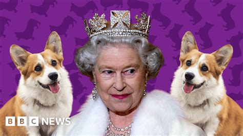 Corgis How The Queen Fell In Love And Started A Phenomenon