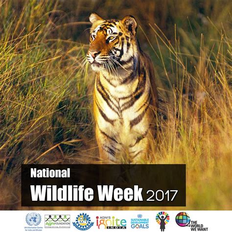 #save #wildlife | Wildlife week, Wildlife, Animals