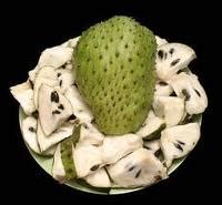 Khabar angin daun durian belanda. Anim Agro Technology: Khasiat Daun Durian Belanda