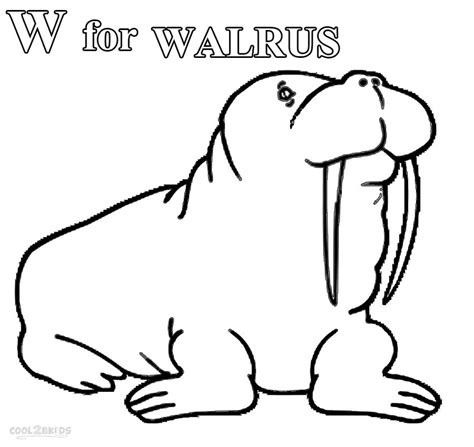 Printable Walrus Coloring Pages For Kids
