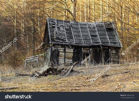 Abandoned Ghostly Cabin Middle Woods Stock Photo 186962528 Shutterstock