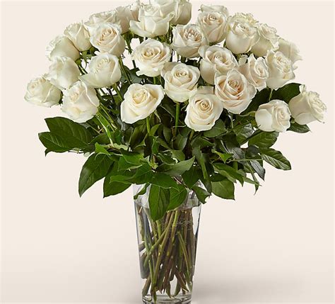 Long Stem White Rose Bouquet