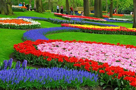 A flower, sometimes known as a bloom or blossom, is the reproductive structure found in flowering plants (plants of the division magnoliophyta, also called angiosperms). World's 15 Most Beautiful Gardens | Ultimate Places