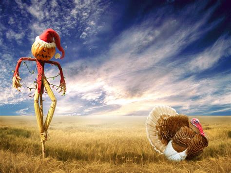 Funny Christmas Scarecrow Wallpapers Hd Wallpapers Id