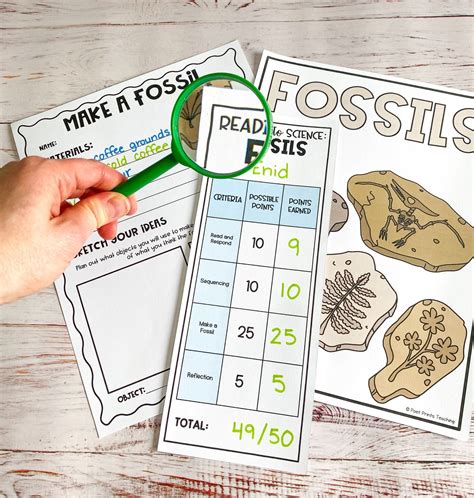 4 Lessons About Fossils For 3rd Grade — Poet Prints Teaching