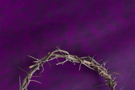 540 Closeup Of Jesus Wearing Crown Of Thorns Stock Photos Pictures