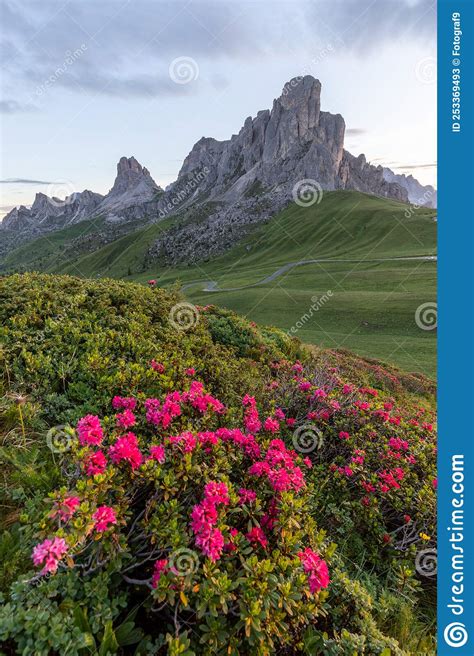 Scenic Panorama View On Passo Giau In Dolomites National Park Italy