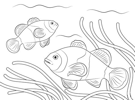 Mewarnai Gambar Ikan Anak Tk Ikan Mewarnai Paud Sketsa Kumpulan