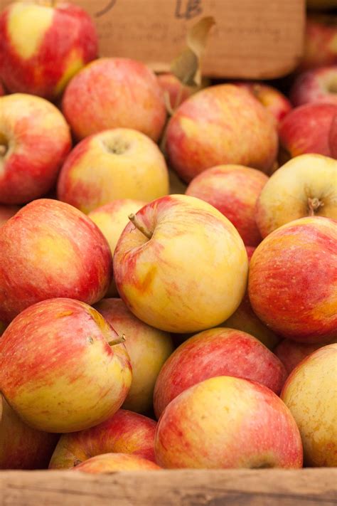 The Best Apples For Baking Best Apples For Baking Baked Apples Apple