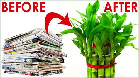 How To Make Bamboo Plant With Papers Bamboo Plant Making