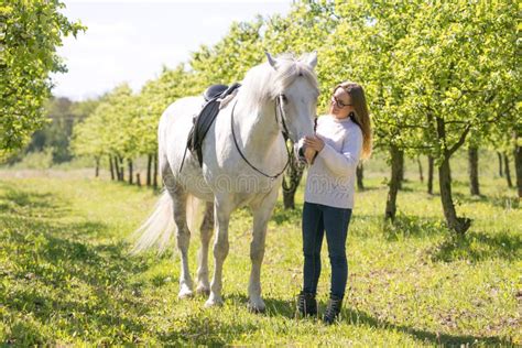 Beautiful Girl Is Driving A White Horse Stock Photo Image Of