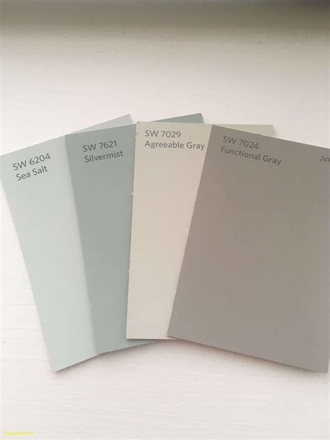 Check spelling or type a new query. Inspirational Gray Owl 2137 60 Vs Oc 52 | Paint colors for ...