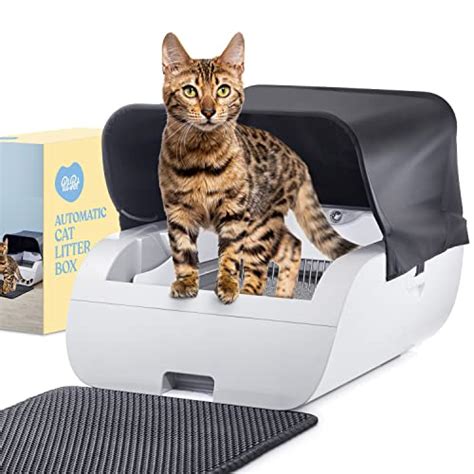 Find The Best Automatic Kitty Litter Box Reviews And Comparison Katynel