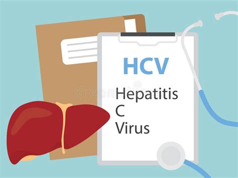 Hepatitis C Virus Stock Illustrations 592 Hepatitis C Virus Stock
