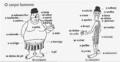 Gcrb PortuguÊs Corpo Humano