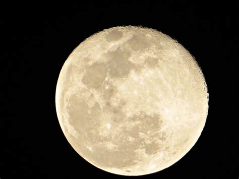 Full Moon At Midnight Close Up Free Stock Photo Public Domain Pictures