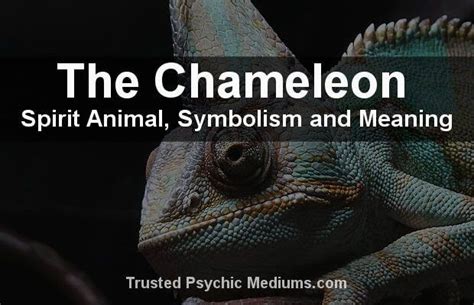 The Chameleon Spirit Animal A Complete Guide To Meaning And Symbolism
