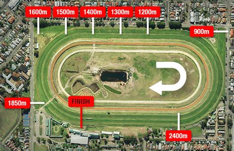 Newcastle Racecourse Form Guide Track Map Tips And Results