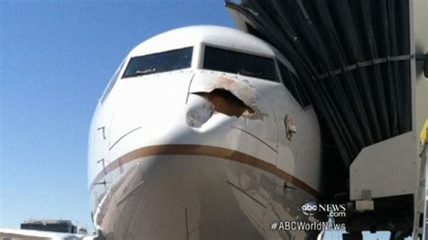 Plane Collides With Bird Lands Safely Video Abc News