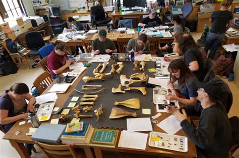 Archaeology Laboratory Social Science 244 College Of Humanities And