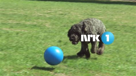 Se hele nrks store utvalg av serier, dokumentarer, underholdning, film, sport og nyheter. The Branding Source: Idents: NRK1 (2011)