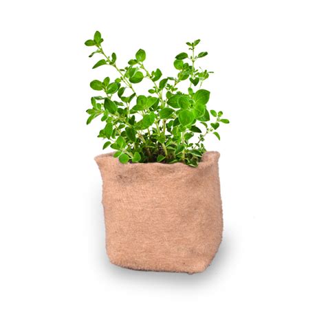Jute Grow Bag Herb Garden Upaj Farm Grow It Yourself Kits