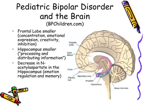 Ppt Pediatric Bipolar Disorder Neuropsychological And Educational