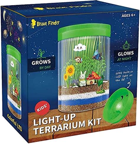 10 Best Terrarium Kits Recommended By An Expert Glory Cycles