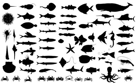 70 Fish Silhouettes Fish Silhouette Silhouette Vector Stingray