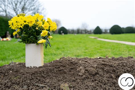 How Much Does A Burial Plot Cost Buriallink