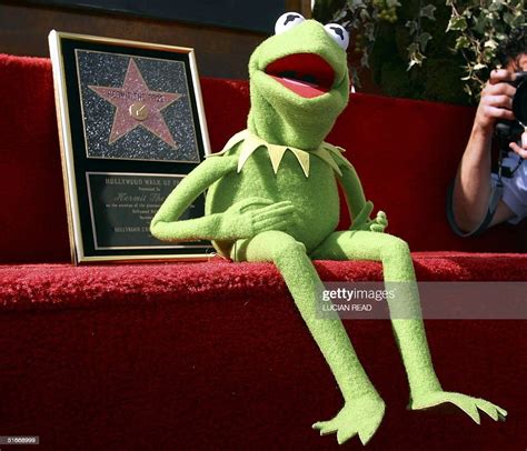 Kermit The Frog Greets The Public During The Unveiling Of A Star For