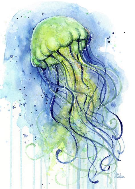 Jellyfish Watercolor Painting By Olga Shvartsur